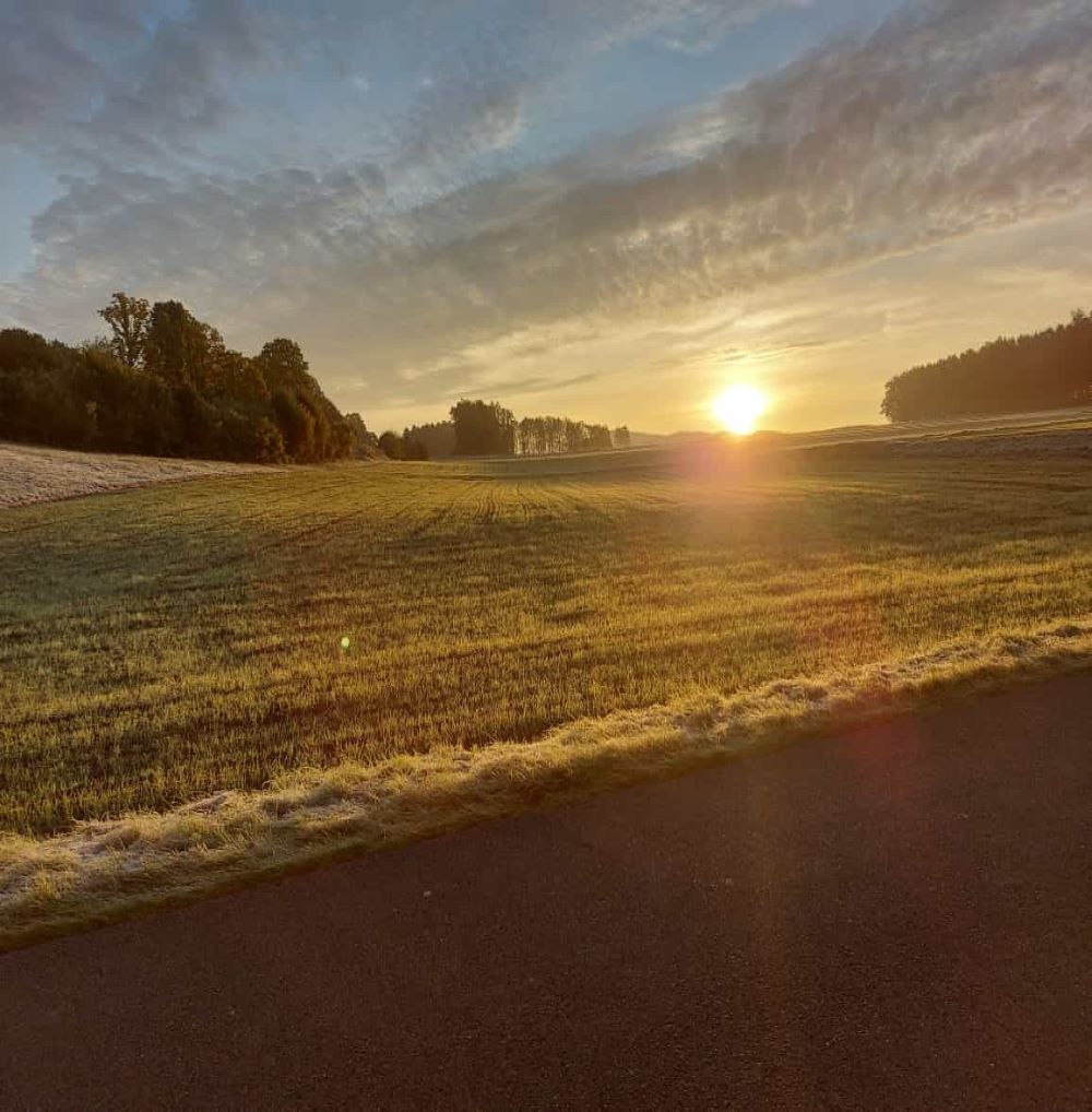 Sonnenaufgang über Feld Sonnenaufgang über Feld