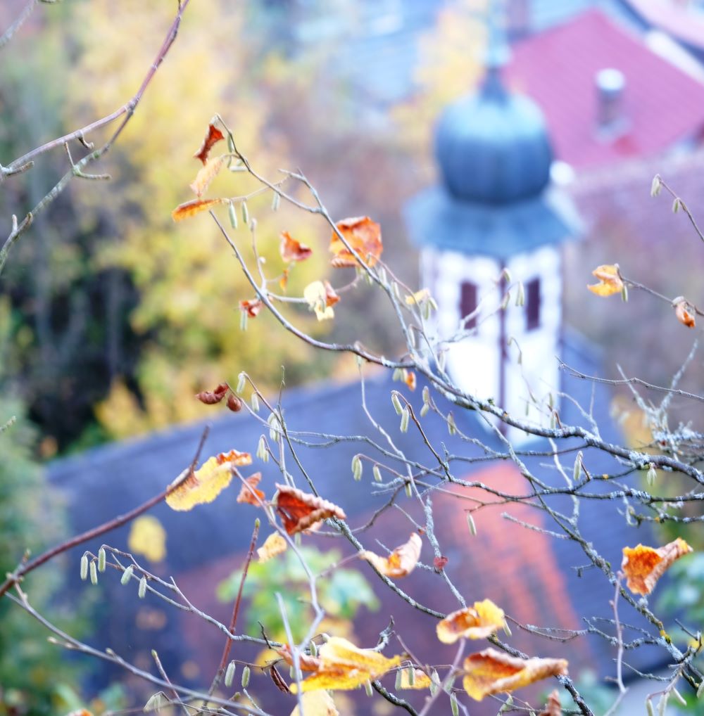 Pfarrkirche im Herbst Pfarrkirche im Herbst