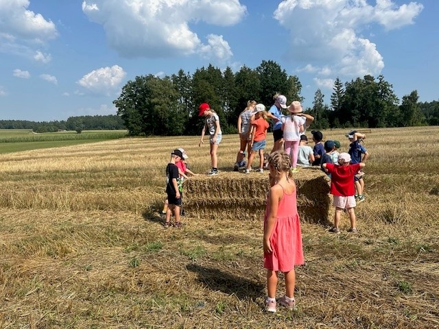 Erlebnistag auf dem Bauernhof 2